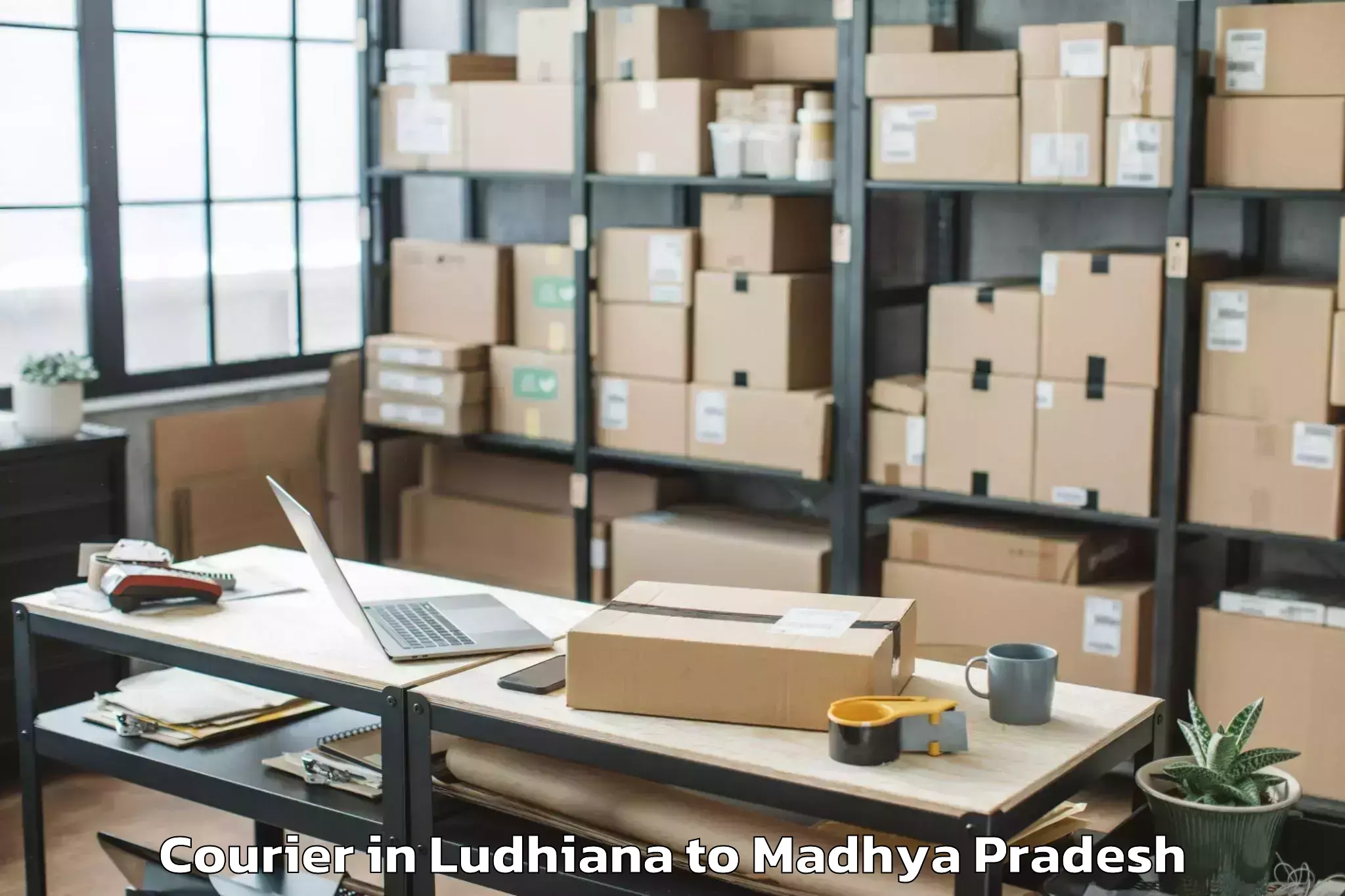 Quality Ludhiana to Khajuraho Airport Hjr Courier